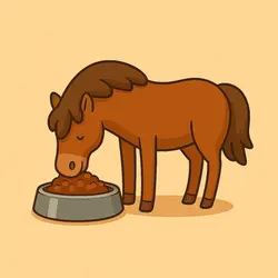 Horse feeders