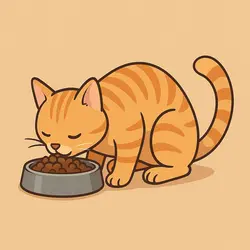 Cat feeders