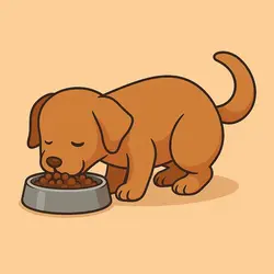 Dog feeders